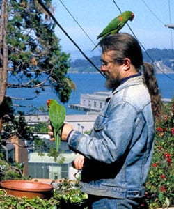 Wild Parrots of Telegraph Hill