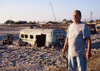 Plagues and Pleasures on the Salton Sea