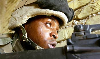 Why We Fight