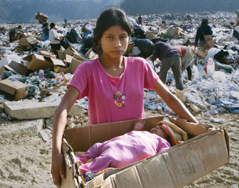 Recycled Life