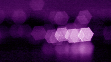 Secret Screening Purple