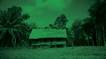 Secret Screening Green