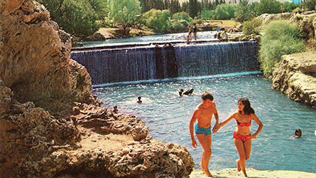 The Garden of Eden