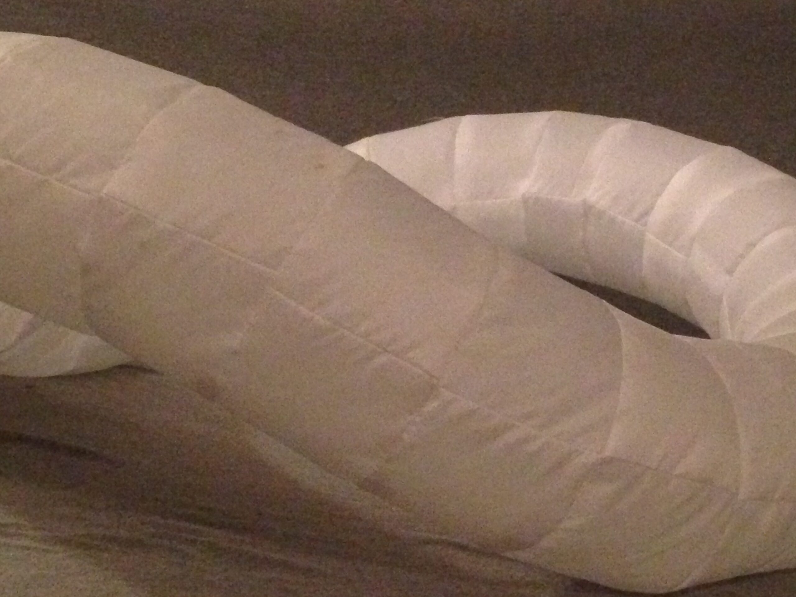 Torus Worm