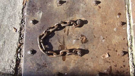 Curating the Anarchy of the Visible