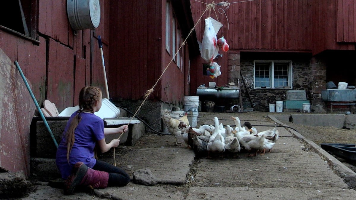 Shorts: The New Family