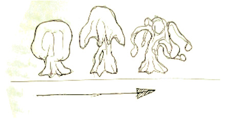 Propagation