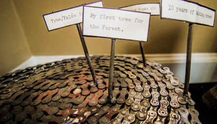 The Forrest Trees