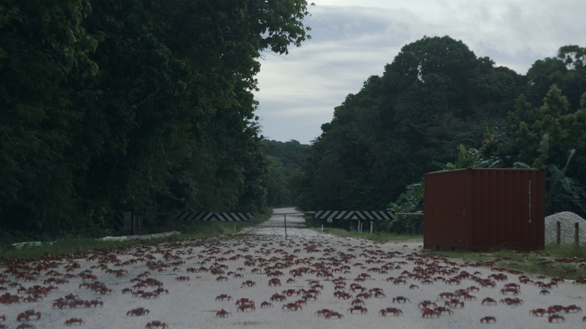 Island of the Hungry Ghosts