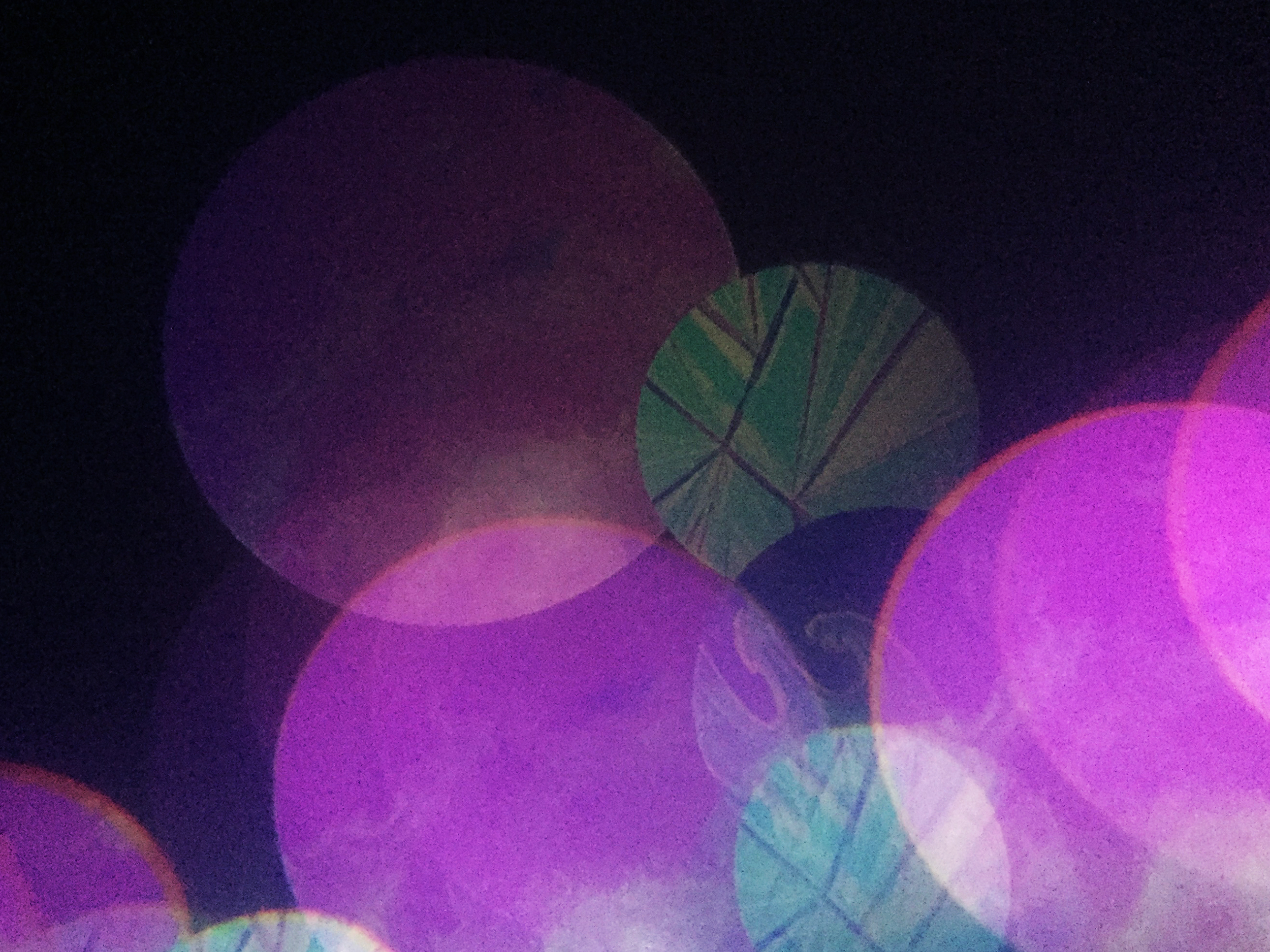 Cosmos