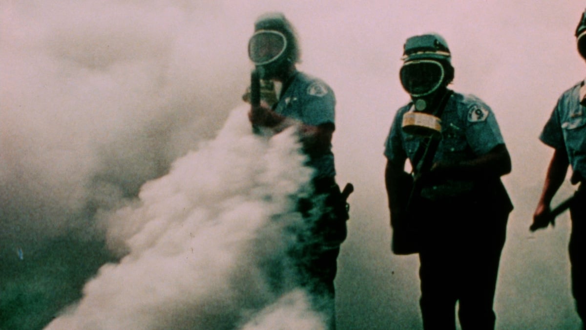 N/N: Films of Tom Palazzolo