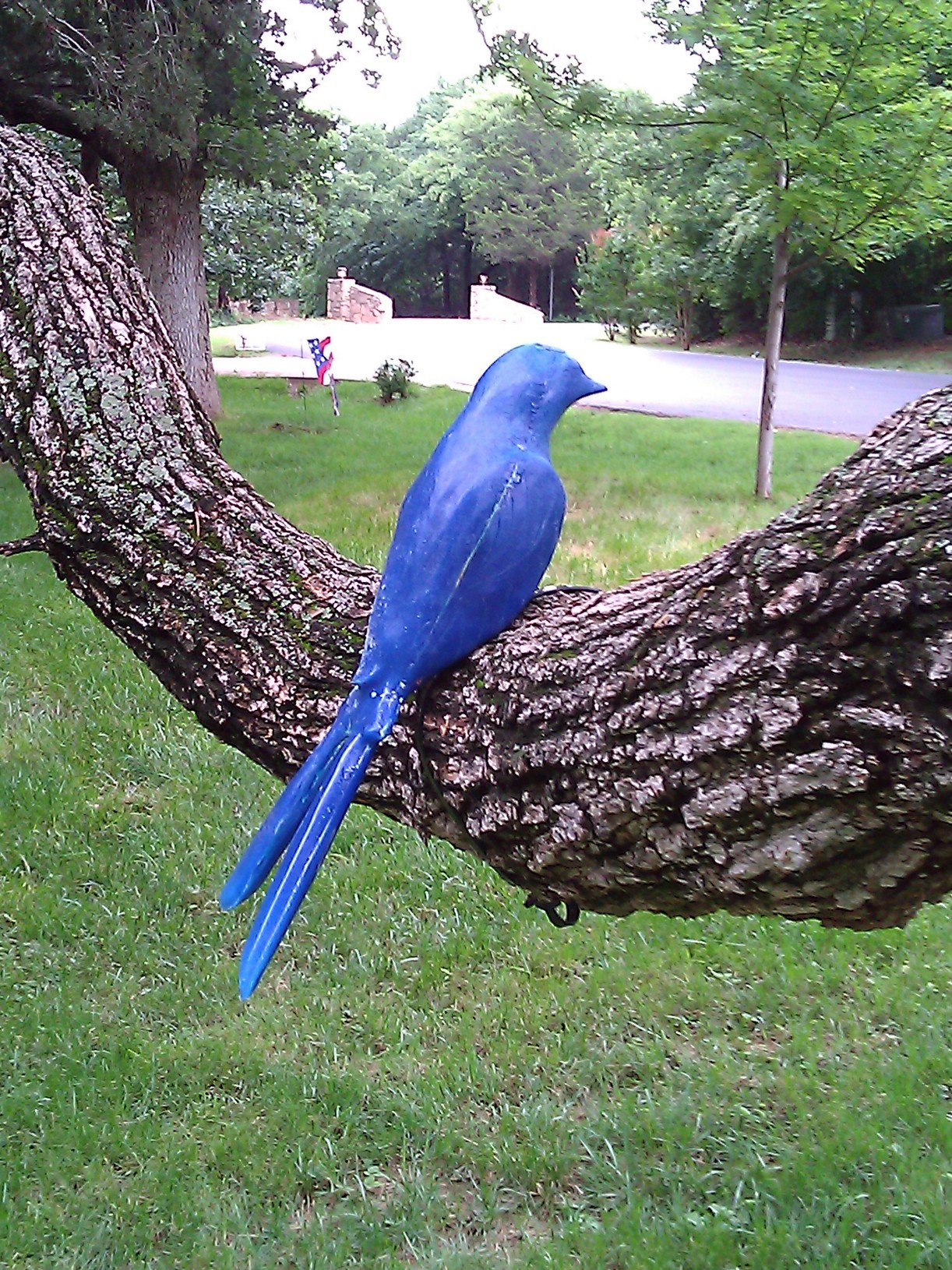Birds of a Feather