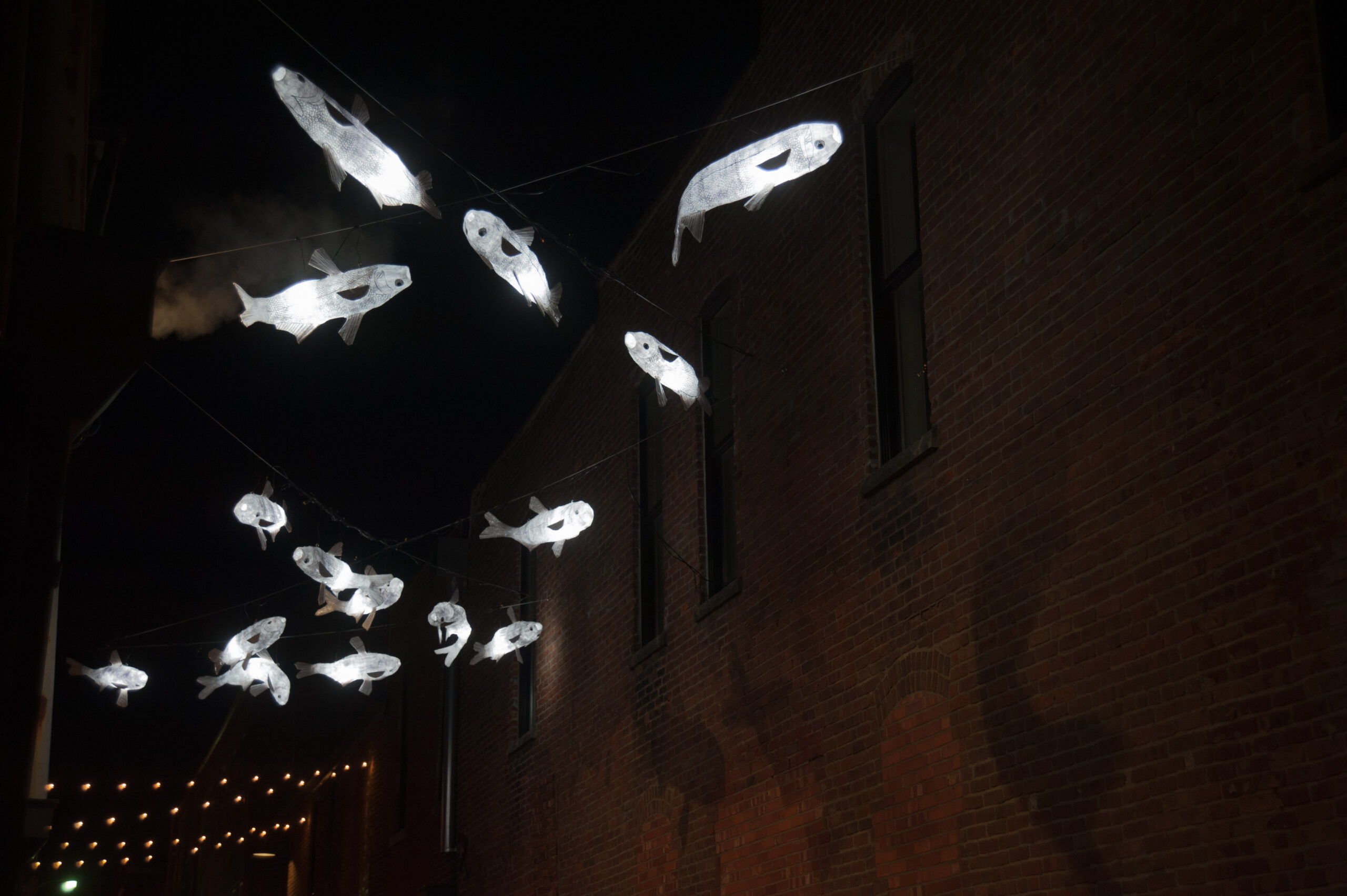 Flying Fish
